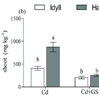 The Effect Of Gsh On The Cd Concentration In Plant Roots A Shoots