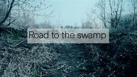 Road To The Swamp Дорога на болото Youtube