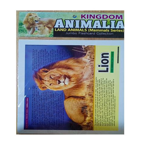 KINGDOM ANIMALIA LAND ANIMALS MAMMALS SERIES FLASHCARDS (JUMBO) | Lazada PH