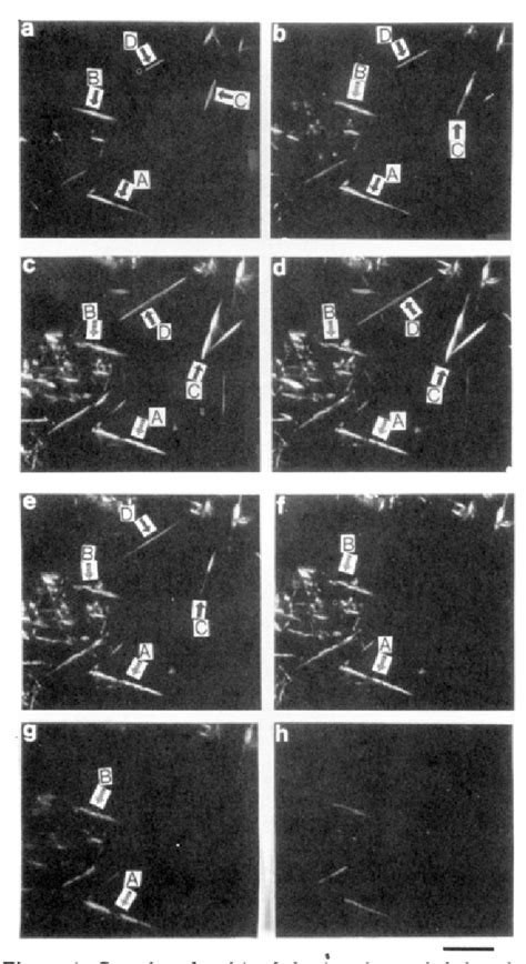 Figure From Role Of Mobile Phases In The Crystallization Of