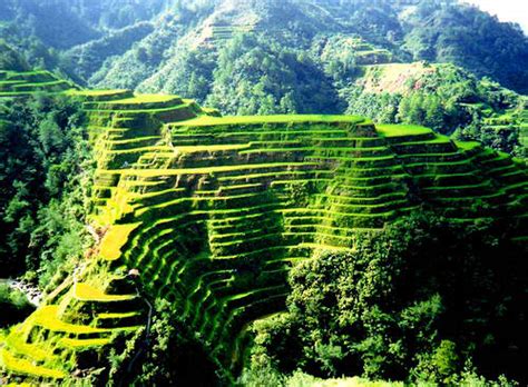 Banaue Rice Terraces | Tour Philippines