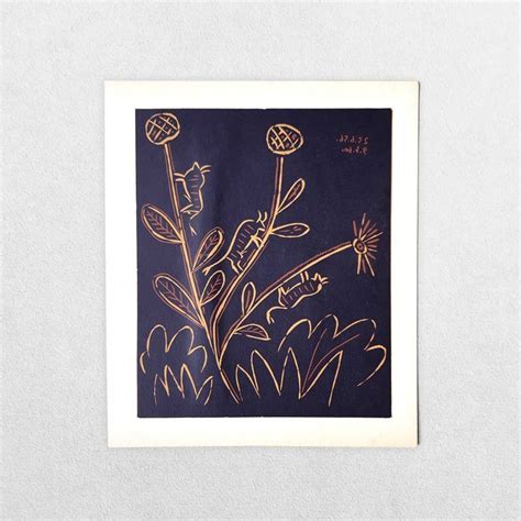 Pablo Picasso Linogravures Plante Aux Toritos Hornseys Gallery