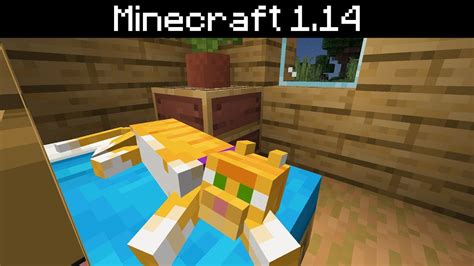 Minecraft 114 Cats Stray Tamed Skins Breeding Ts Scaring