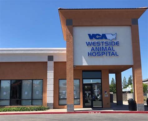 Our Hospital Vca Westside Animal Hospital