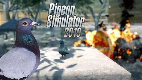 ¿el Juego Del Año Pigeon Simulator Te Permite Ser Una Paloma Y Cobrar