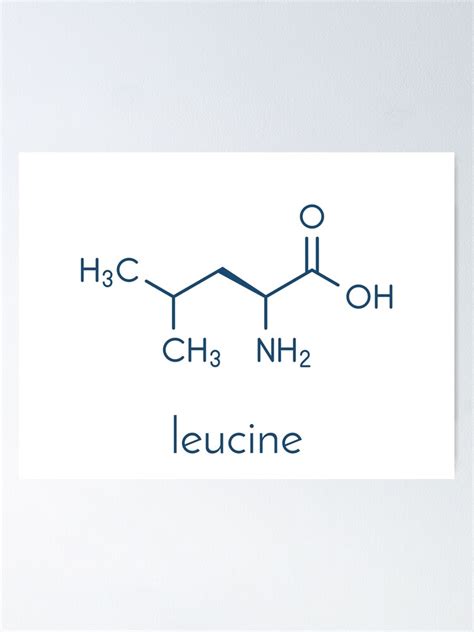 Leucine L Leucine Leu L Amino Acid Molecule Poster By Molekuul