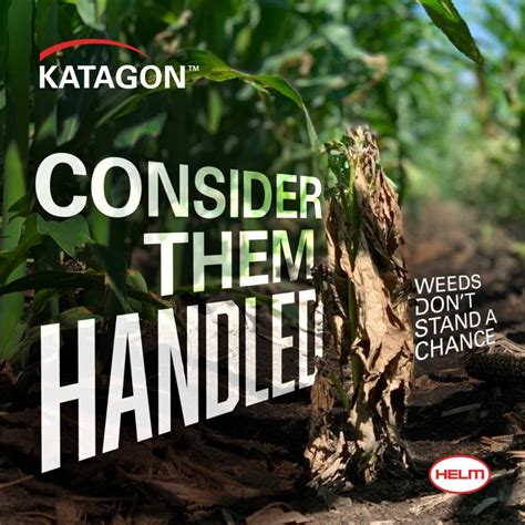 HELM Agro on LinkedIn: #helmagro #herbicide #agronomy