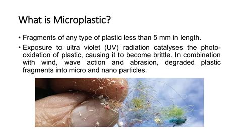 Microplastic Are Everywhere But Are They Harmful Ppt