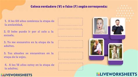 Etapas Del Desarrollo Humano Interactive Activity Live Worksheets Nbkomputer