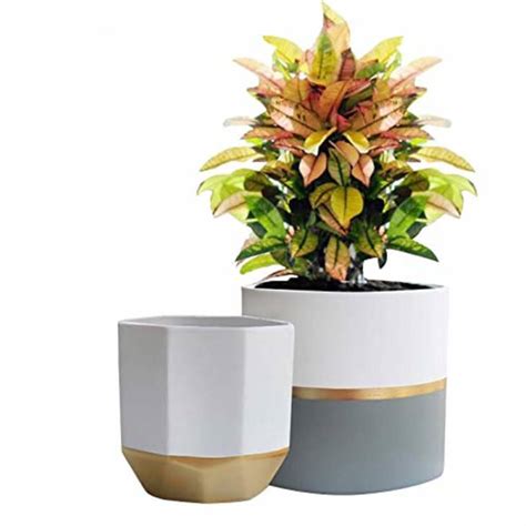 Shop Amazon Planters Indoor And Outdoor Planters Apartment Therapy