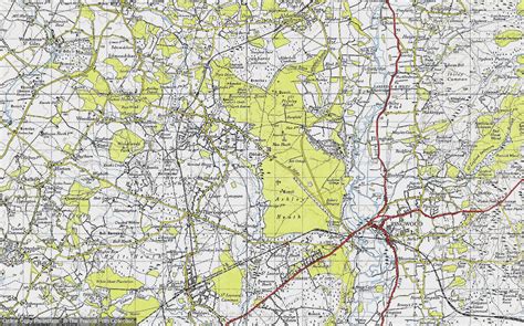 Old Maps Of Ringwood Forest Hampshire Francis Frith