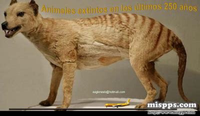 Animales extintos en los últimos 250 años