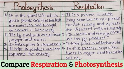 Photosynthesis Vs Respiration Compare Respiration And Photosynthesis