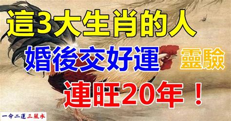 這3大生肖的人，婚後交好運，連旺20年！ Peekme