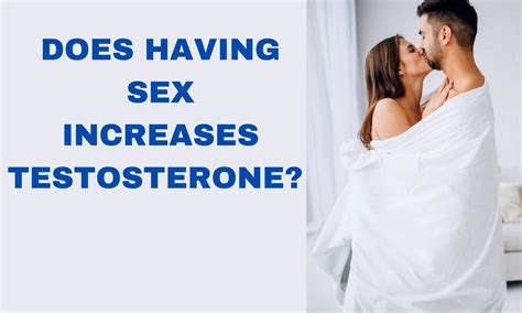 Does Having Sex Increase Testosterone Must Read Rworkoutgyaan