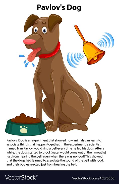 Pavlovs dog experiment Royalty Free Vector Image