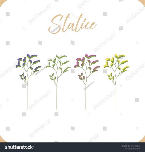 Set Colorful Statice Flowers Hand Drawing Stock Vector Royalty Free