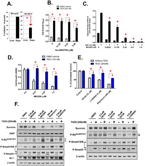 The Ability Of The MTORC1 Inhbitor Rapamycin A And The MTORC1 And