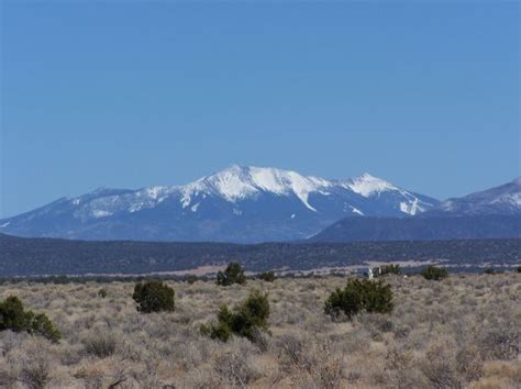 Williams Real Estate - Williams AZ Homes For Sale | Zillow