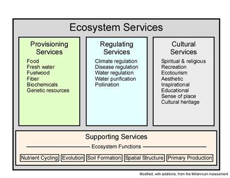 Ecosystem Services