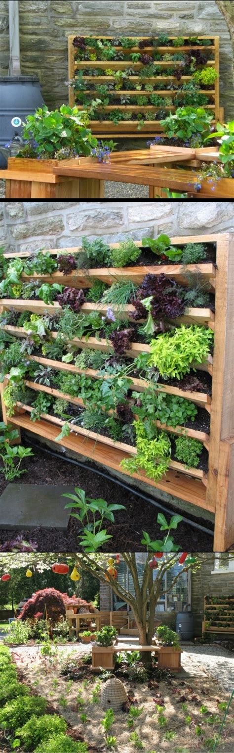 23+ Herb Garden Ideas (How to Grow & Easiest Herbs to Grow)