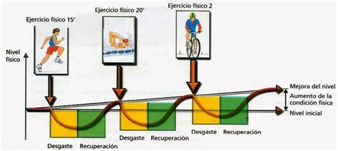 Entrenamiento Deportivo Principio De La Continuidad