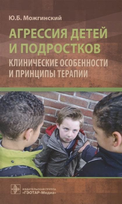 Агрессия Детей и Подростков. Клиничнские Особенности и Принципы Терапии ...