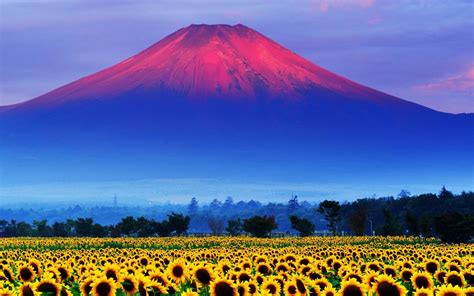 Japanese Landscape Wallpaper 62 Images