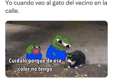 Meme De Gatos Meme Subido Por Mistercacharras Memedroid