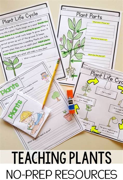 Three Worksheets For Teaching Plants And Plant Life Cycles With Text Overlay That Reads