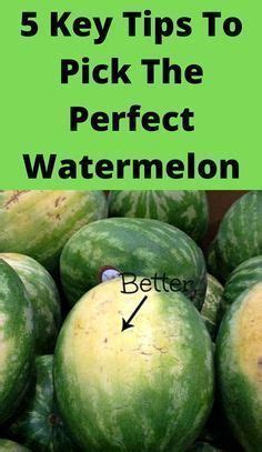 5 Key Tips To Pick The Perfect Watermelon Artofit