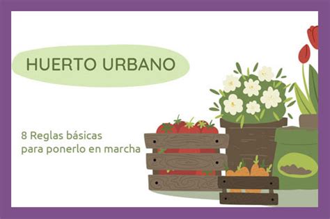 Huerto Urbano Tu Portal Eco