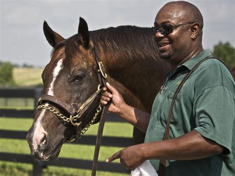 33 Fastest Horses To Win The Belmont Stakes Always Pets