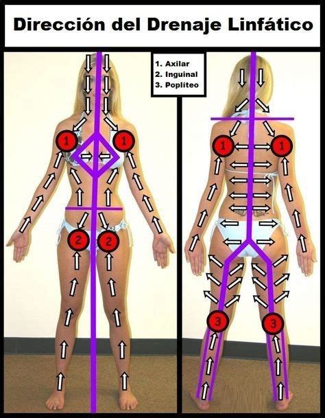 Reflexologia Podal O Que E Quais Os Benef Cios Reflexologia Reiki