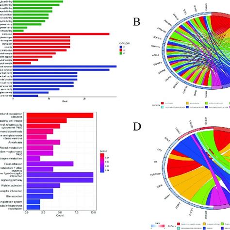 GO And KEGG Pathway Analysis Of The Differentially Expressed LncRNAs