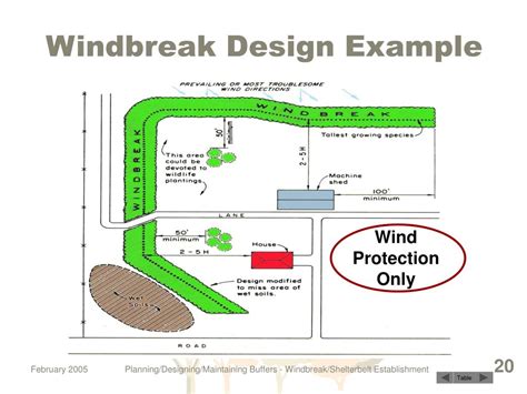 Ppt Windbreak Shelterbelt Establishment Nedc Conservation Buffers