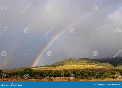 Rainbows Over Maui Stock Photo Image Of Scenic Landscape 83728108