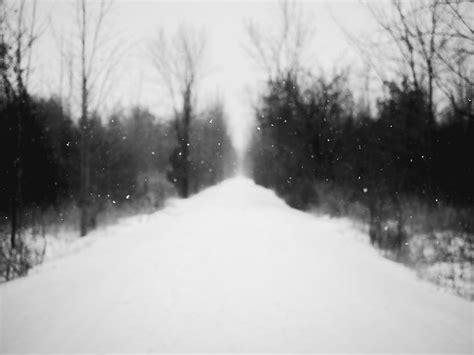 HD wallpaper: path, snow, tree, out of focus, blur, dark, perspective ...