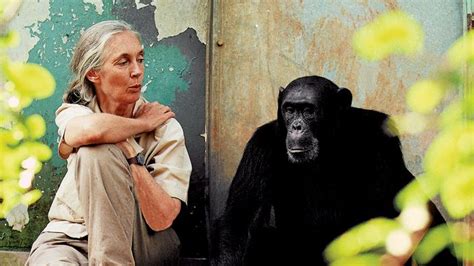 Jane Goodall | Biography, Awards, Books, & Facts | Britannica