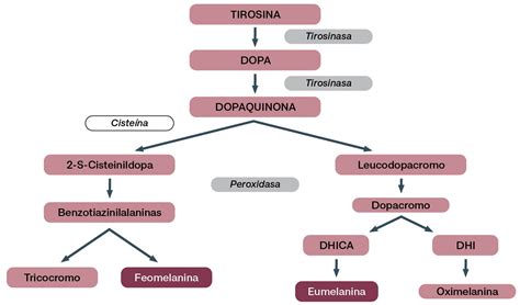 Hiperpigmentación: qué es, causas y tratamientos - Revista Acofarma