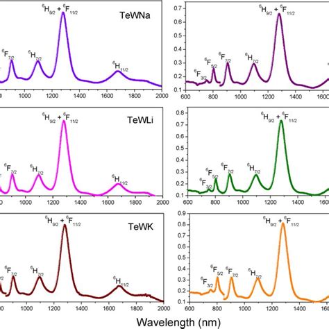 Optical absorption spectra of Dy 3þ ions doped single and mixed alkali