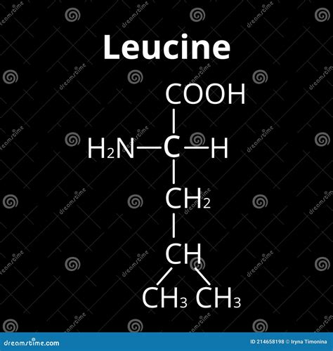 Leucine Molecular Structure Leucine Skeletal Chemical Formula