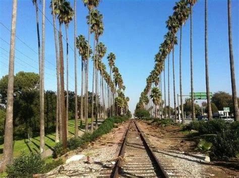 Centinela Park Inglewood California Ca History Inglewood