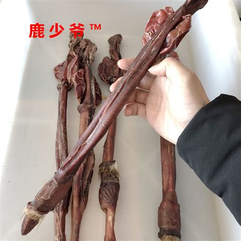 补肾壮阳王鹿鞭的主要功效和服用方法以及注意事项！ 梅花鹿鹿茸