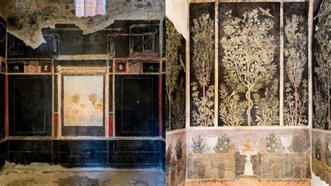 Pompeii's House of Lovers reopens 40 years after being ravaged - World News