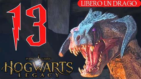 Libero Un Drago Hogwarts Legacy Walkthrough Gameplay Hd Ita Pc