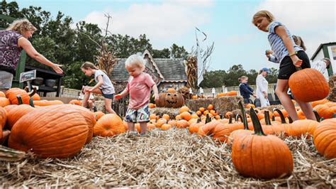 Fall Farm Fun | VisitMaryland.org