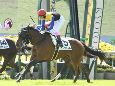 【メイクデビュー京都4rレース後コメント】ケーブパール藤岡康太騎手ら 競馬ニュース Netkeiba