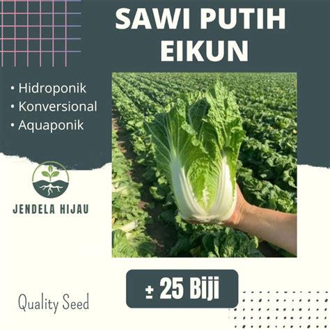 Jual Benih Sawi Putih Eikun Takii Seeds Bibit Tanaman Sayuran Repack