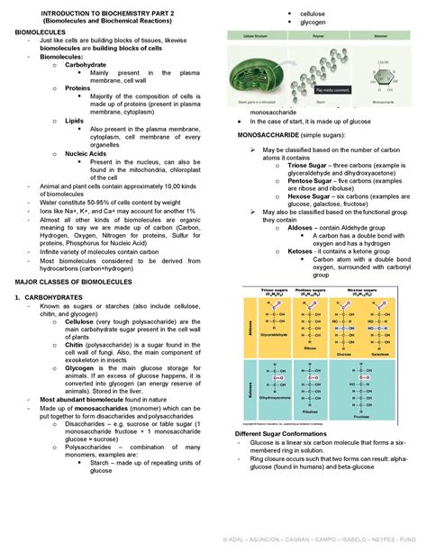 Intoduction To Biochemistry Handout Introduction To Biochemistry